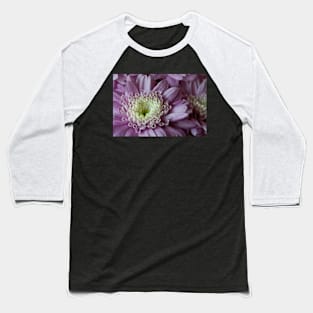 Pretty purple dahlia (2) Baseball T-Shirt